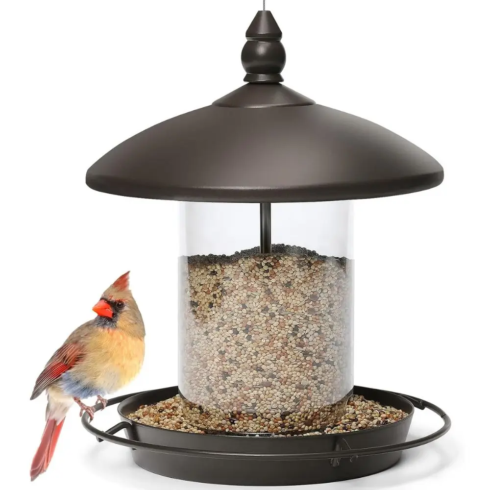 bird feeder