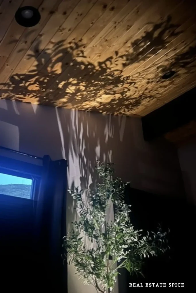 Indoor faux tree lit from below casts leafy shadows across a wall and wood ceiling at night.