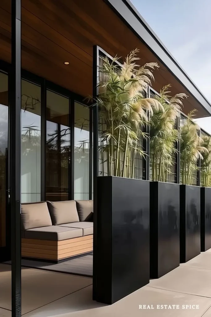 patio with tall planters and greenery used for privacy